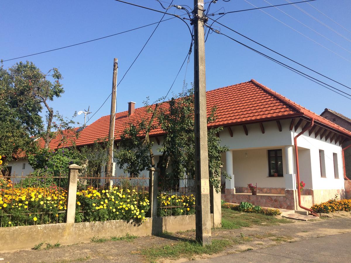 Bajusz Vendégház Tornyosnémeti Exterior foto