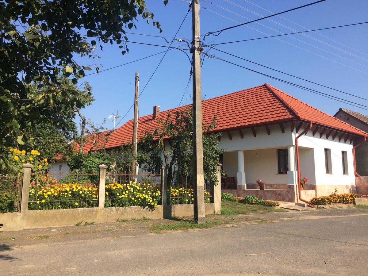 Bajusz Vendégház Tornyosnémeti Exterior foto