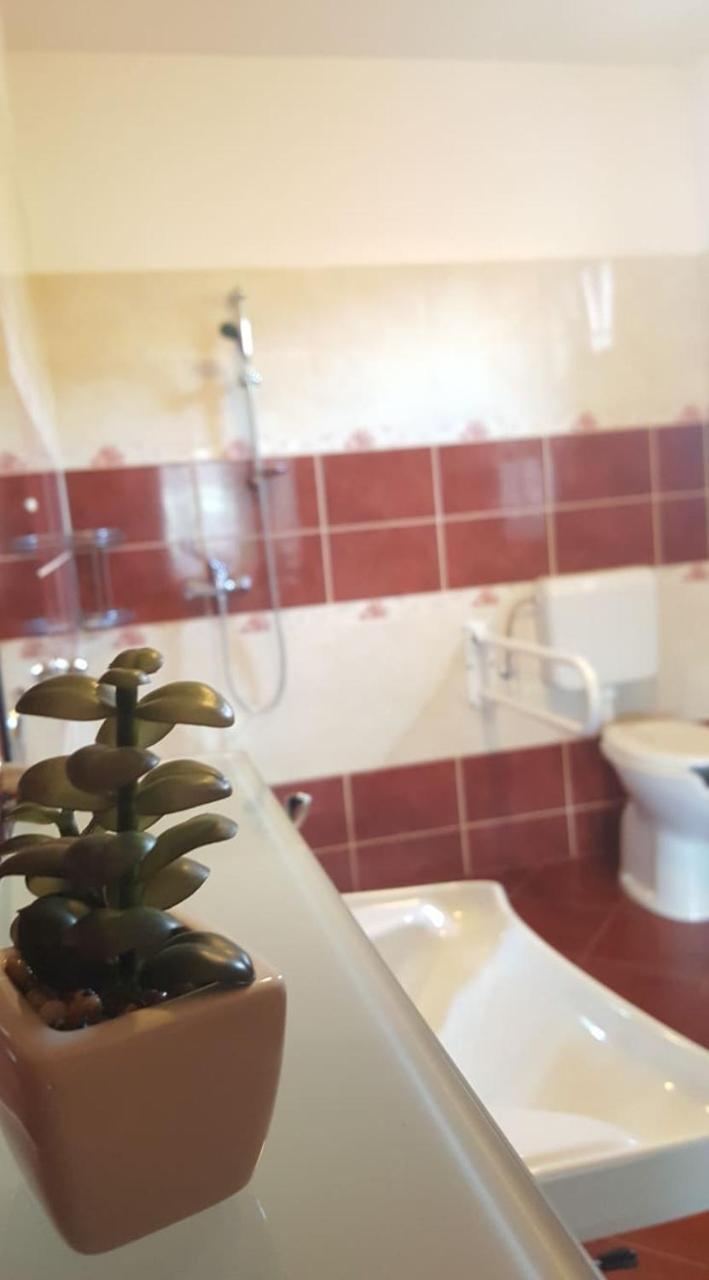 Bajusz Vendégház Tornyosnémeti Exterior foto